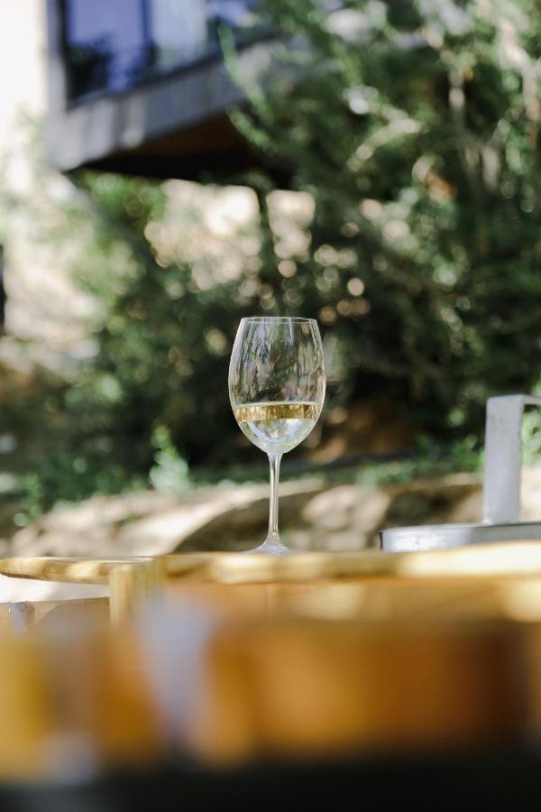 Milodge Elqui Domos Pisco Elqui Εξωτερικό φωτογραφία